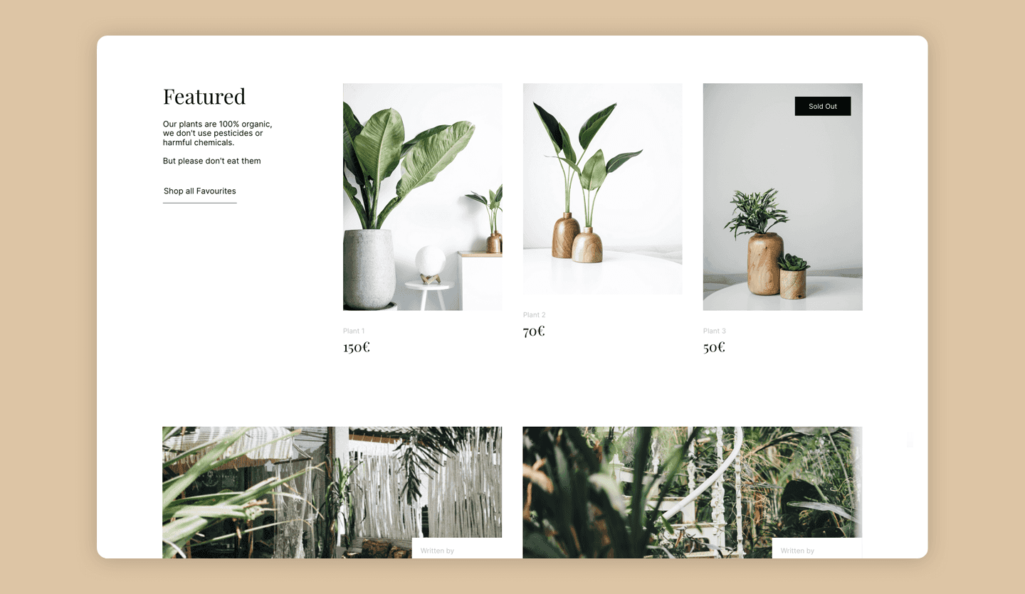 Screenshot of E-Commerce Website: home page product section